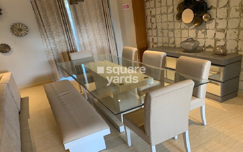 Felicity Roongtas Aventura