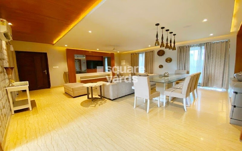 Felicity Roongtas Aventura