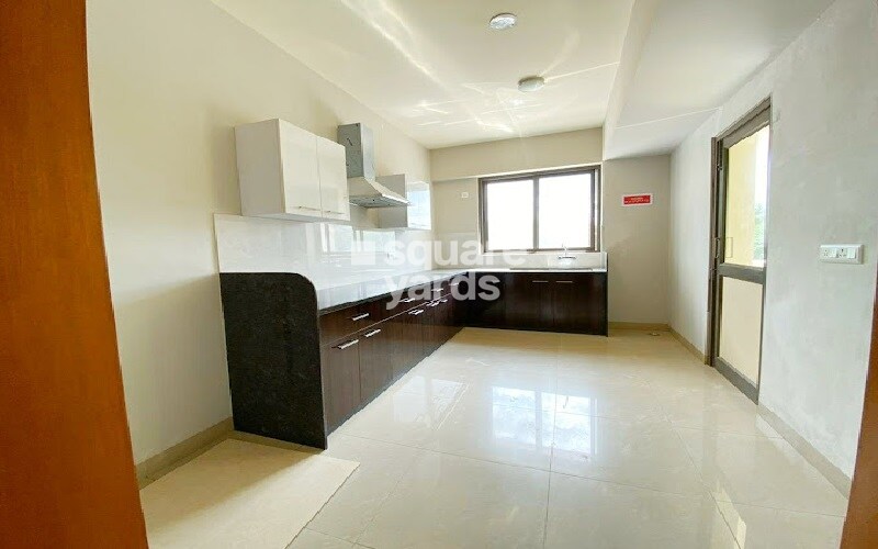 Felicity Roongtas Aventura