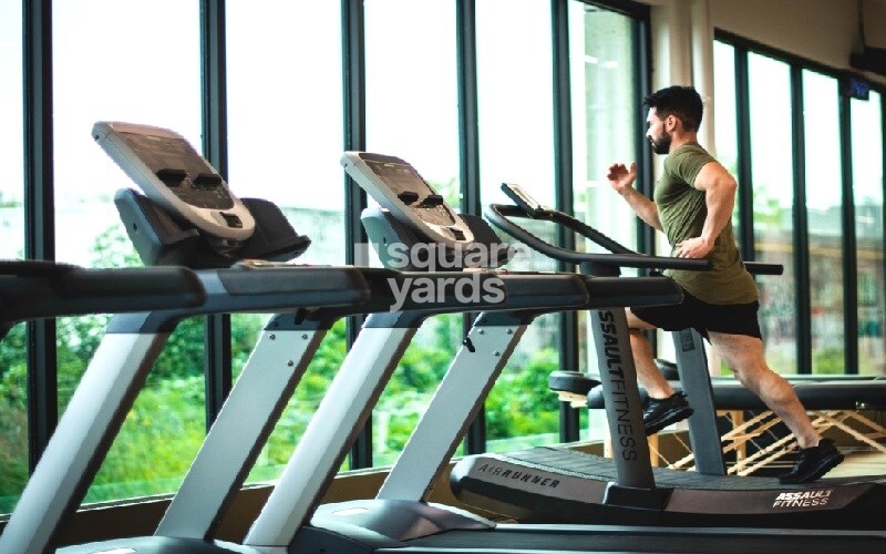 Felicity Roongtas Aventura