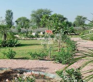 Happy The Pleasure Garden Amenities-Features