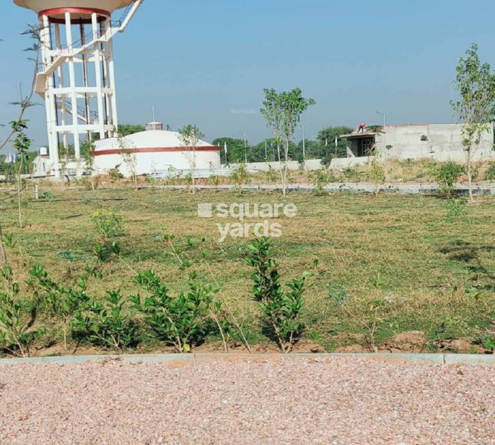 Happy The Pleasure Garden