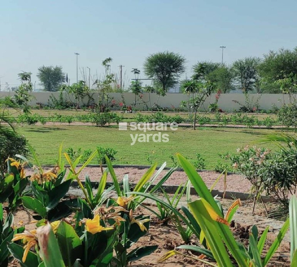 Happy The Pleasure Garden