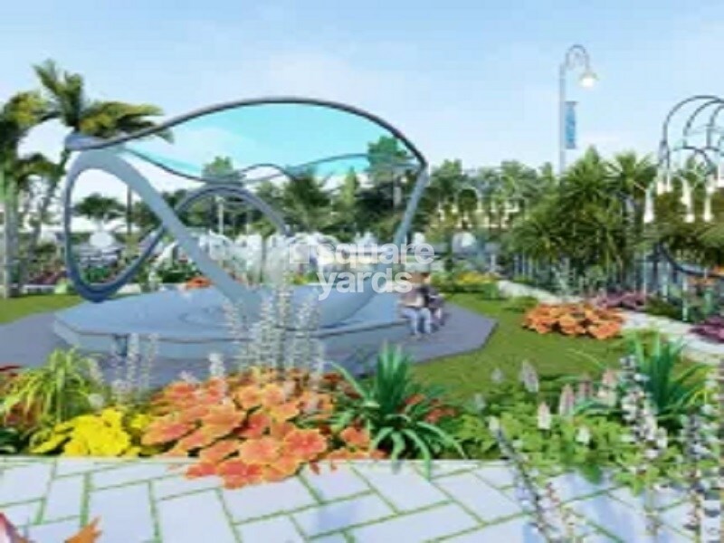 High Tarang