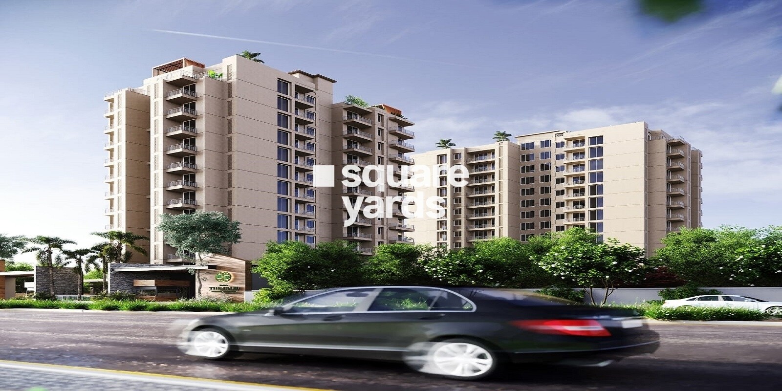 Kedia The Palm Featured Image