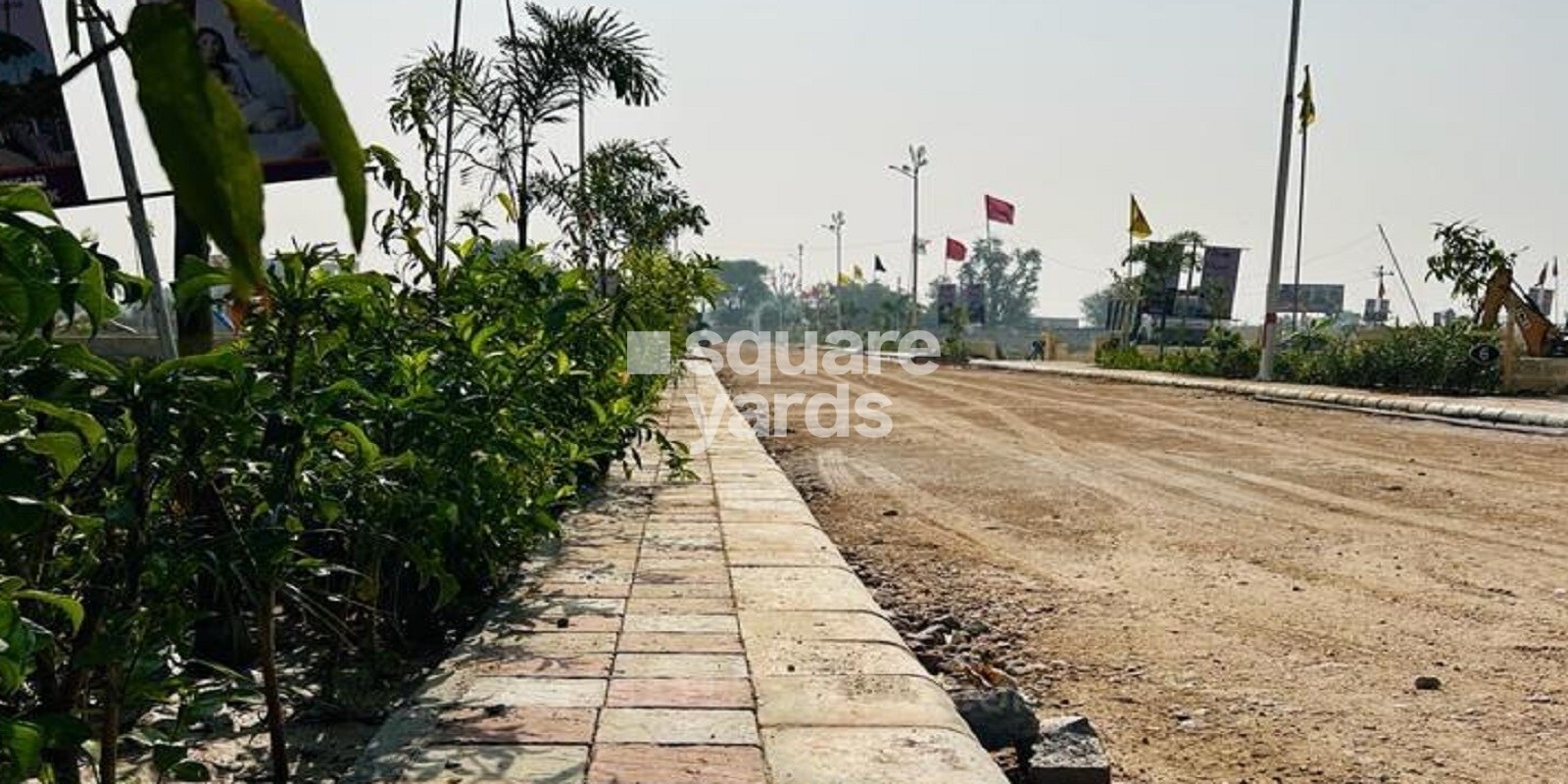 Khandelwal Royal Bird Sky Featured Image