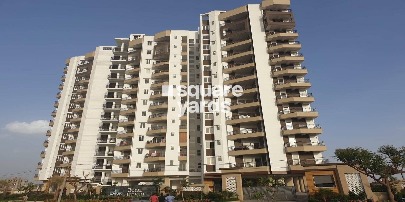 Kotecha Royal Tatvam Featured Image