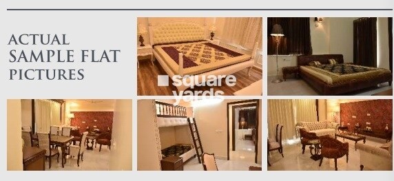 Macro Harsh The Coronation