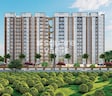 Midas Four Way Homes
