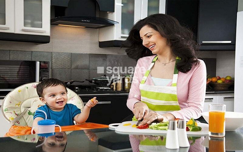 Okay Plus Satya Palace