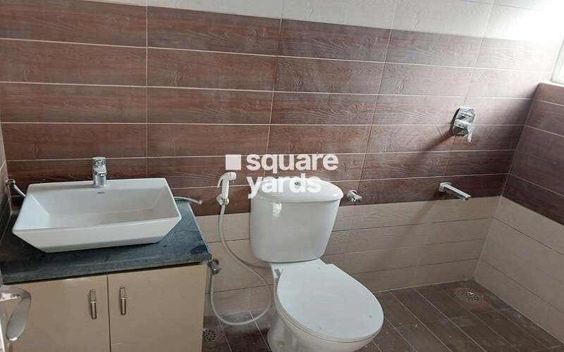 Okay Plus Solitaire Suites
