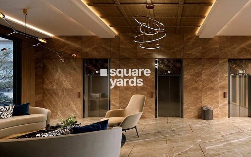 Okay Plus Solitaire Suites