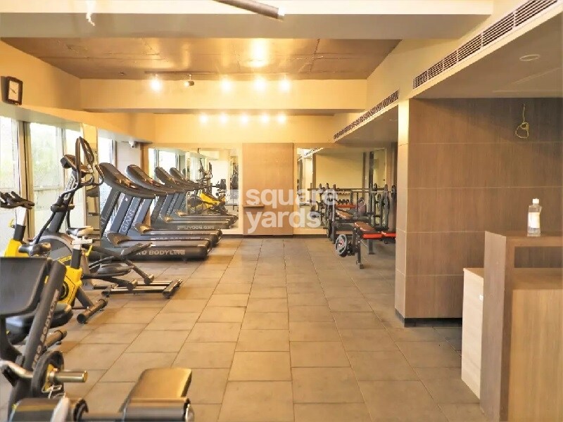 Platinum Amaltas Gymnasium Image