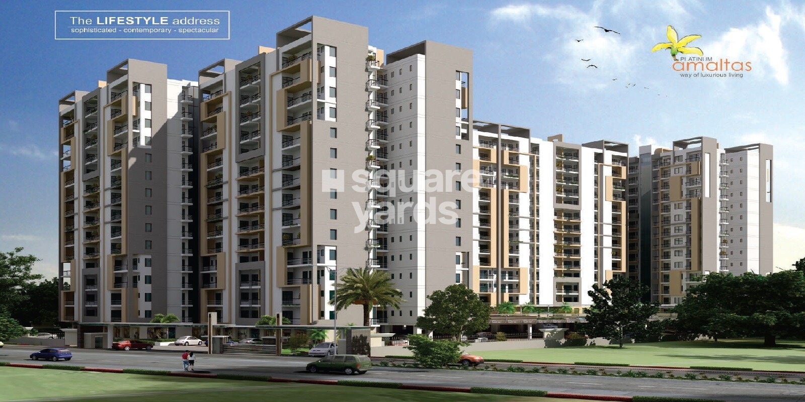 Platinum Amaltas Cover Image