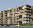 Redwood Avalon