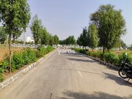 Riyasat The Ring Niketan Plot Images