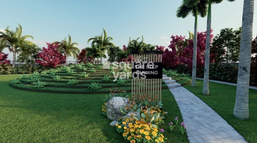 Riyasat Town