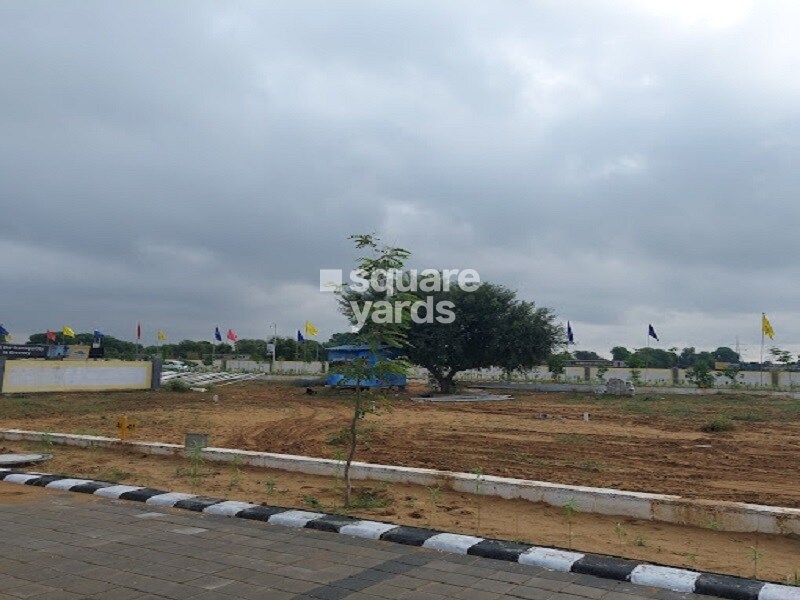 Roylux The Park Royal