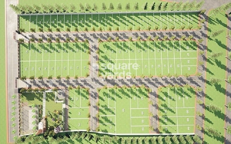 SJD-Avenue_a grassy area with a green field