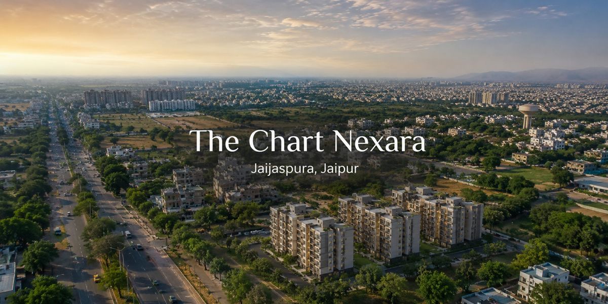 The Chart Nexara Featured Image
