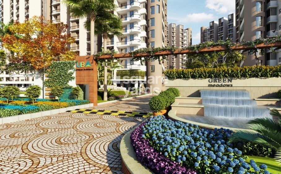 Unique Green Meadows