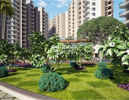 Unique Green Meadows