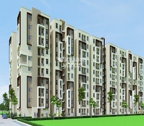 ABP Vashundhara Kutumb project in Beelwa Kalan, Jaipur