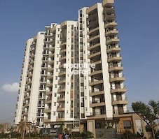 Kotecha Royal Tatvam Featured Image