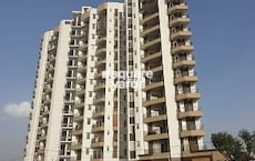 Kotecha Royal Tatvam Featured Image