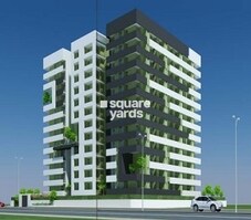 Mojika Midas Touch Featured Image