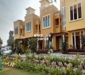 Panache Casa 9