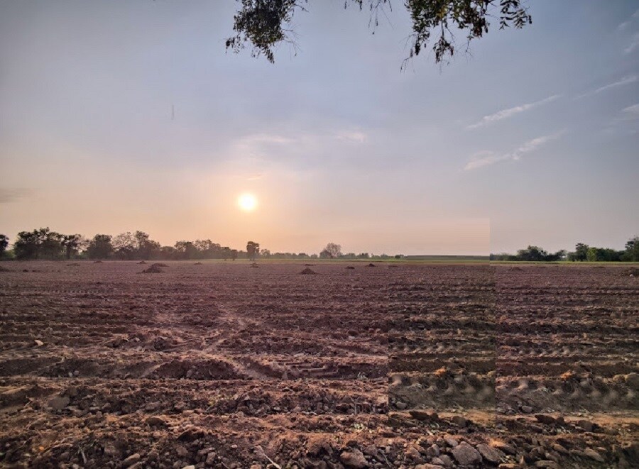 Greenmetro Tulasi Vanam