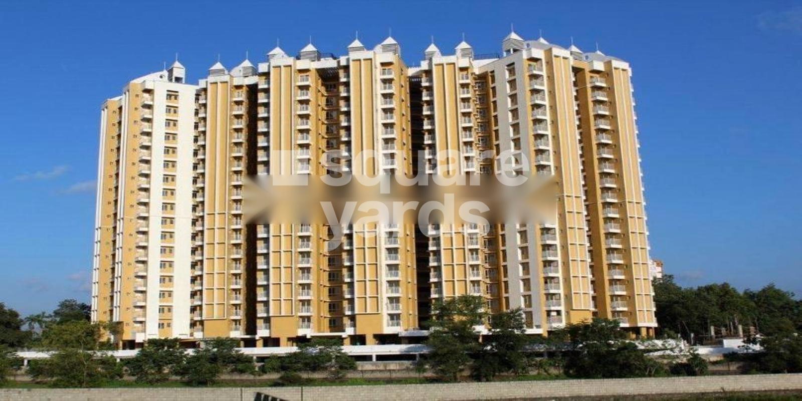 DD Diamond Valley Featured Image