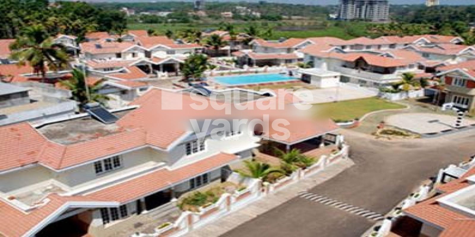 Infra Meadows