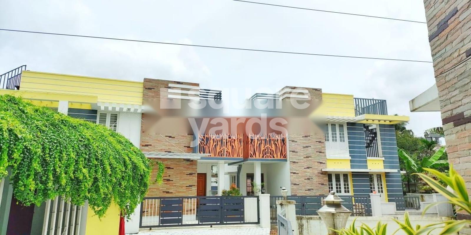 NJN Meadows 2 Featured Image