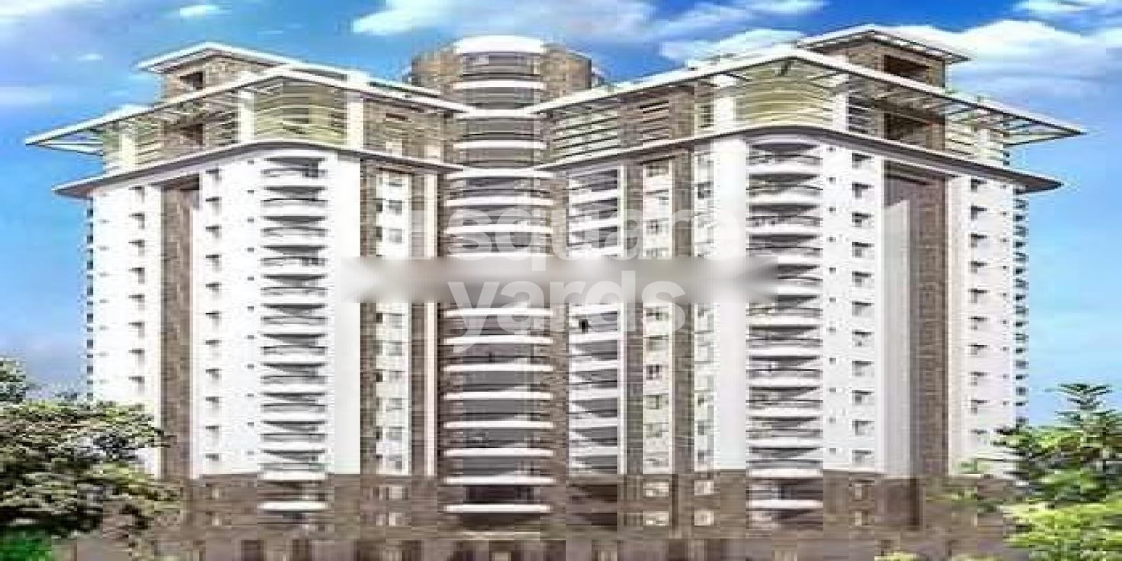 Noel Touch Stone Featured Image