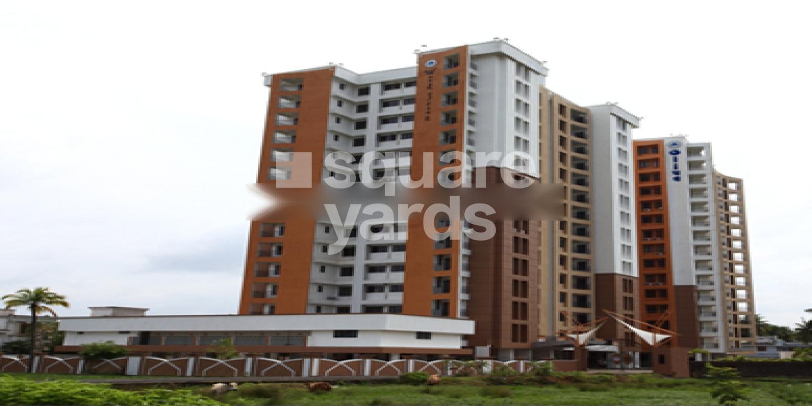 Olive Wood Stock Featured Image