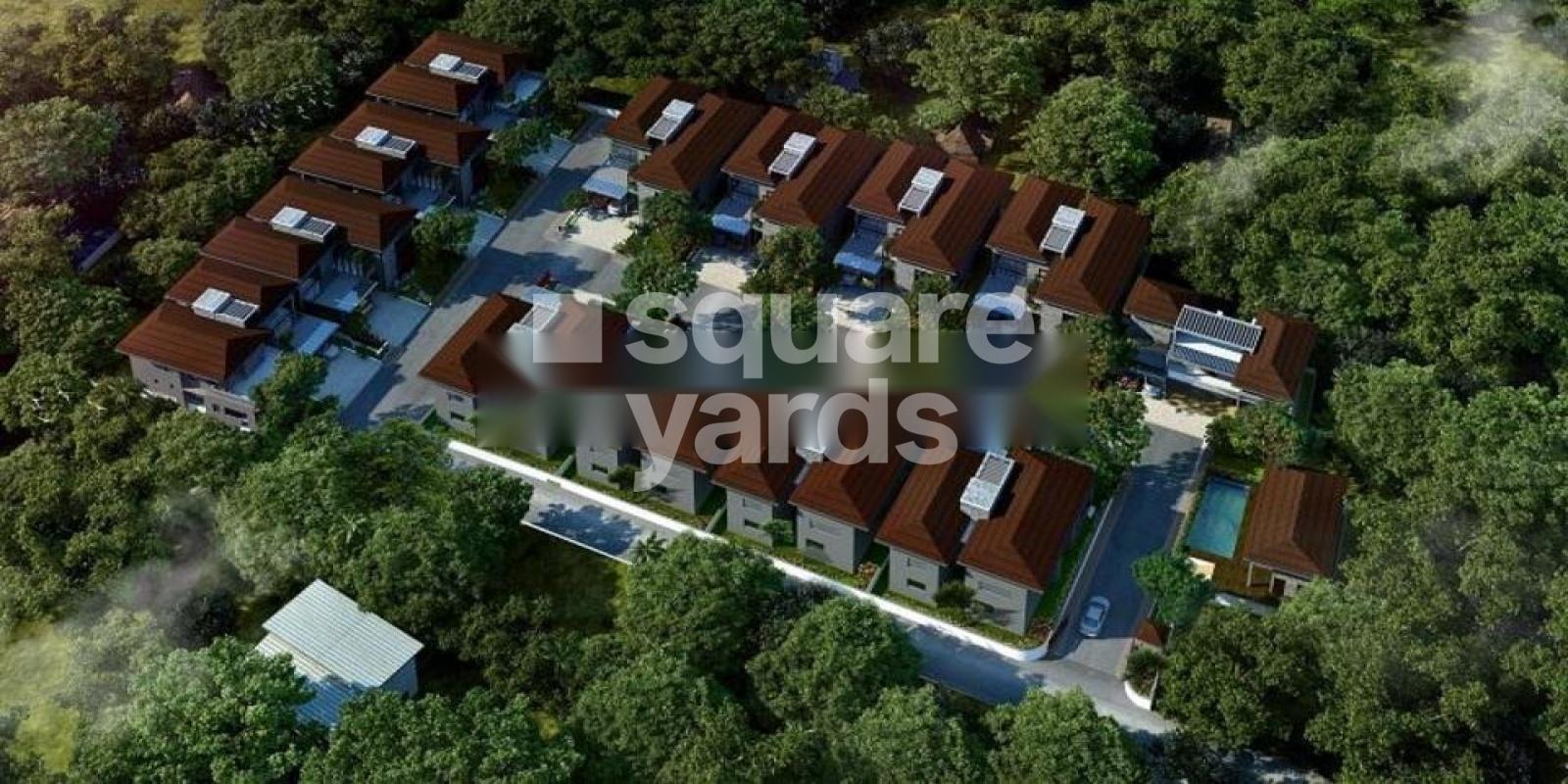 Palal Amadeus Villa Featured Image