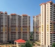 Purva Eternity
