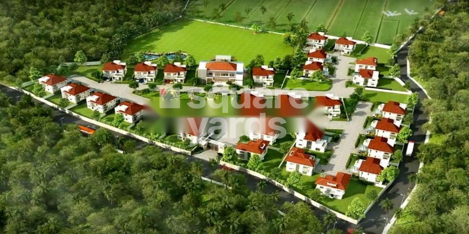 Synthite Lavender Bay Featured Image