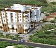 Travancore White Land