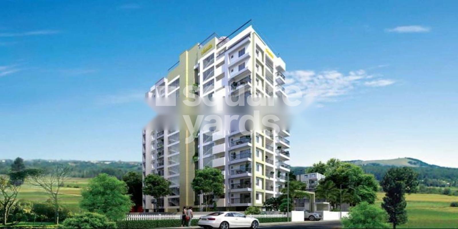 Veegaland Zinnia Featured Image