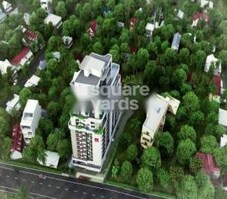 Asset Limelight Featured Image