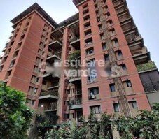 Good Earth Elements Featured Image