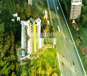 NSD Triumph