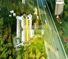 NSD Triumph Featured Image