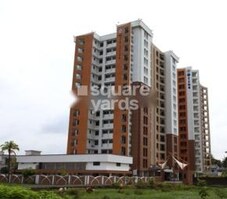 Olive Wood Stock Featured Image