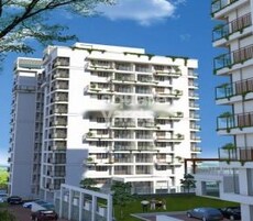 SFS Silicon Hills and Meadows Featured Image