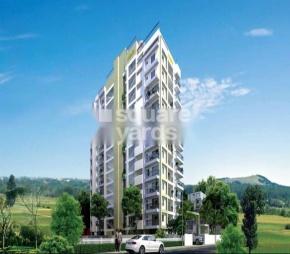 Veegaland Zinnia Featured Image