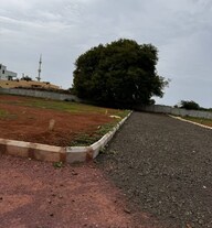 Global Green Plot Images